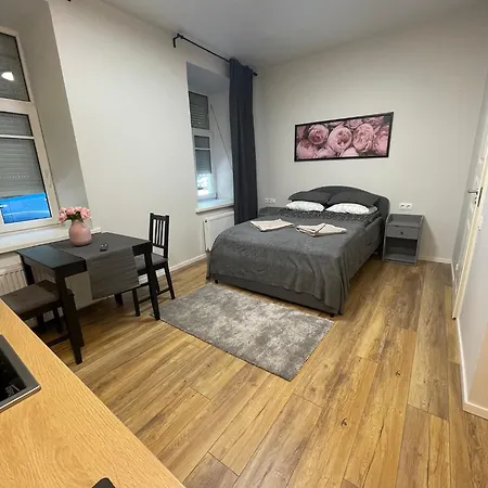 Cozy Appartamento Vilnius